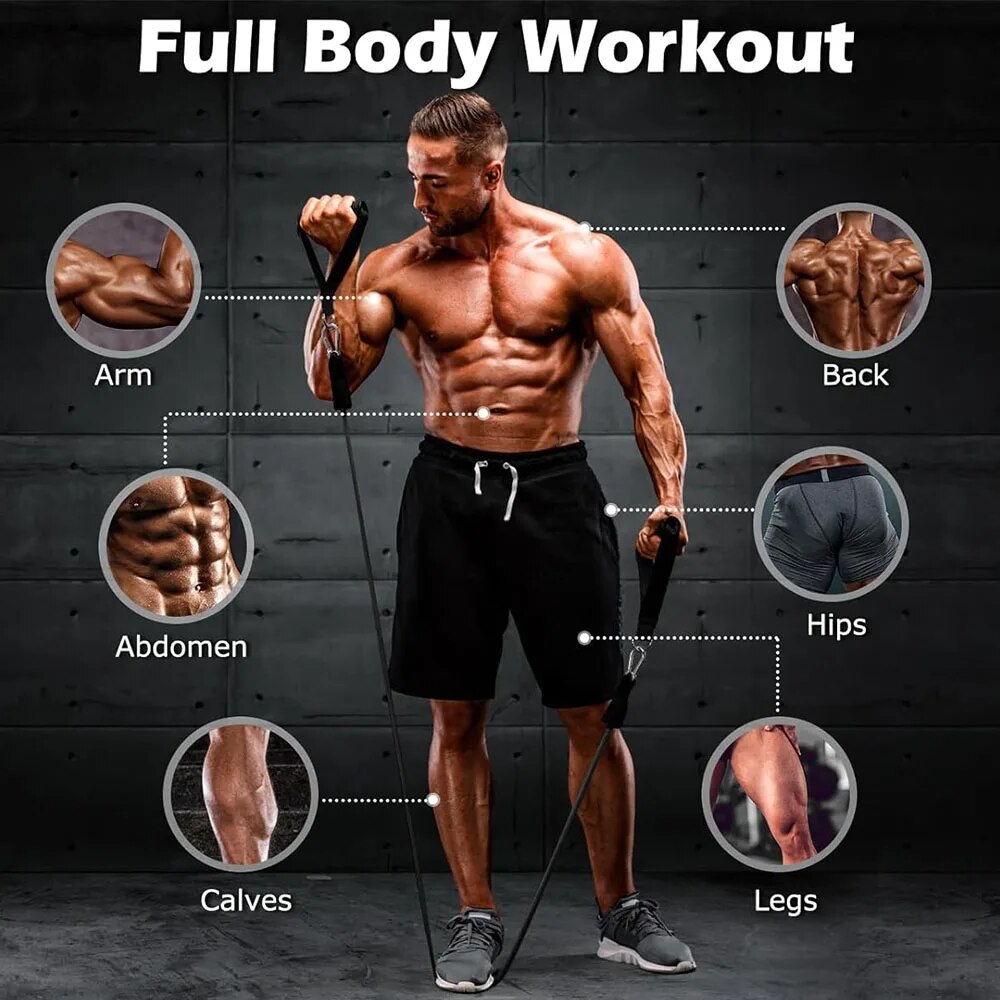 Conjunto de faixas de resistên - Home Gym Equipment Set avaliação e preço